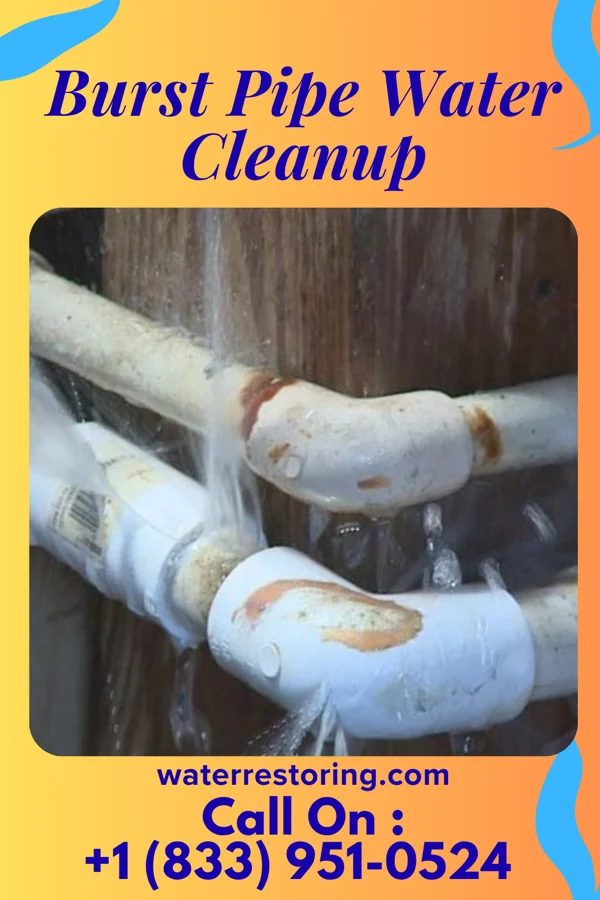 Burst Pipe Water Cleanup in Pioneer, FL