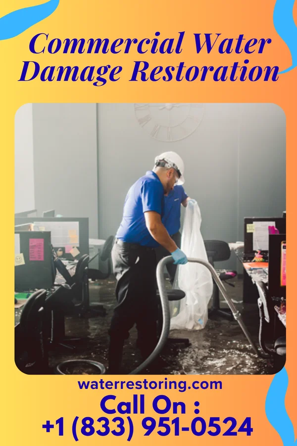 Commercial Water Damage Restoration in Pioneer, FL