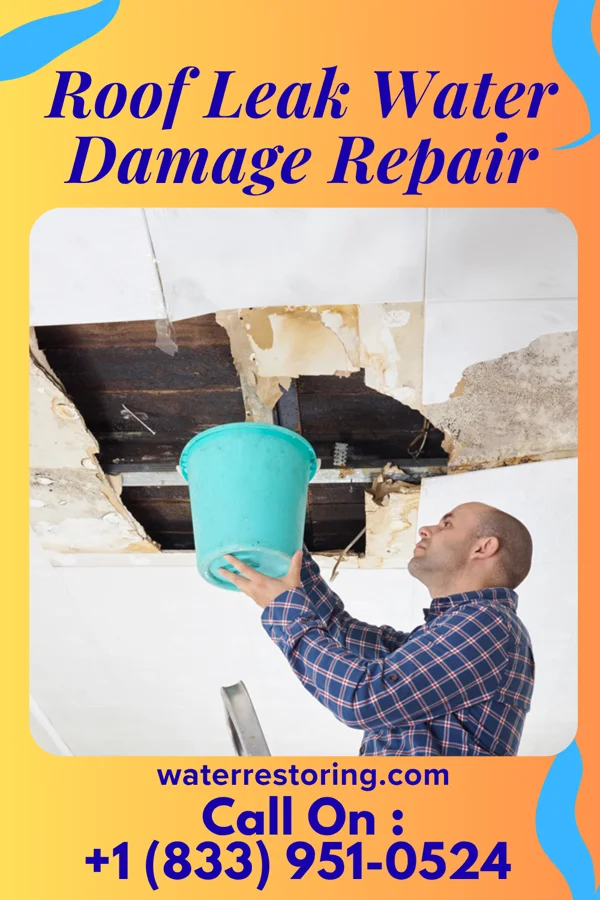 Roof Leak Water Damage Repair in Pioneer, FL